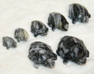 Hand Carved Stone Turtles Set Of 7 Turtle Black White Miniature