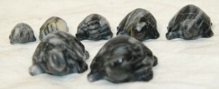 Hand carved stone turtles set of 7 turtle black white miniature 3