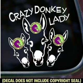 Crazy Donkey Lady Vinyl Decal Sticker Love Burro Blm Car Trailer Bumper Sign