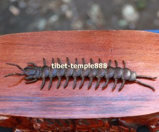 15 Cm Chinese Pure Bronze Handwork Movable Joint Lifelike Centipede Sculpture
