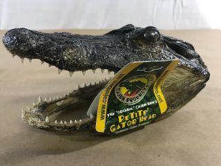 Souvenir Alligator Head From Cajun Bens Petite Decoration C9