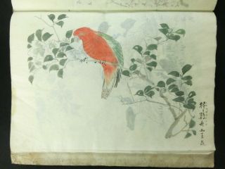 Birds & Flowers Japanese Painting Antique Sketch Book Hand Painted Meiji 123
