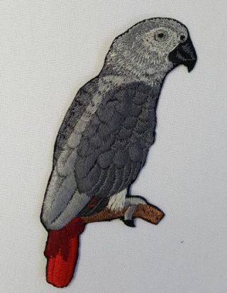 African Grey Parrot Bird Embroidered Patch 2.  6 " X 3.  9 "