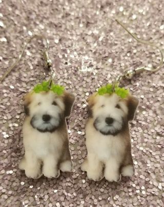 Wheaten Terrier Dog Lightweight Earrings Jewelry Mydogsocks