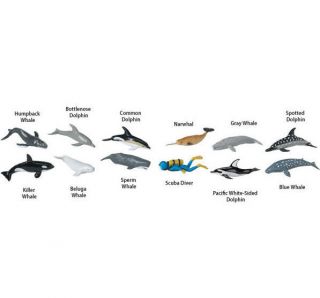 Whales & Dolphins Toob 694704 Ship/usa W/$25,  Safari,  Ltd.  Products