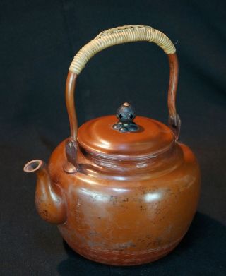 Japan Bronze Kettle Yakan Tea Pot 1900s Japanese Art Craft