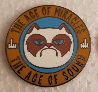 Grumpy Angry Cat The Age Of Miracles The Age Of Sound Lapel Pin