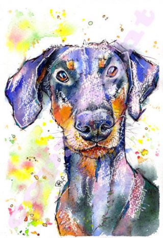 Doberman Pinscher Print From Watercolour Dog Painting Art By Josie P