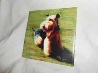 Welsh Terrier 6 " X 6 " Ceramic Art Tile