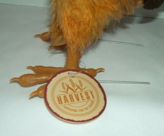 Realistic Rooster Chicken Real Feather Prop Farm Animal Decor,  2 Place Mats 4