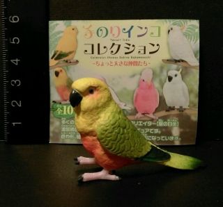Shine (like Kaiyodo) Budgie Budgerigar Parakeet Parrot Bird Figure B