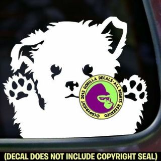 Maltese Cute Puppy Car Window Vinyl Decal Sticker Dog Bumper Sign Car Laptop