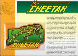 Willabee & Ward Dc Comics Patch Series The Cheetah (wonder Woman Villain)