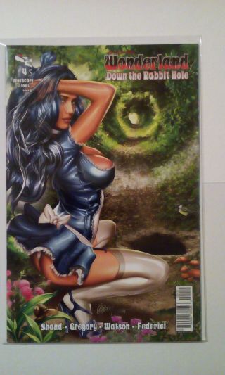 Grimm Fairy Tales Presents Wonderland Down The Rabbit Hole 4 Cover C Nm Variant
