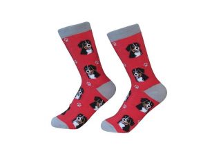 Bernese Mt.  Dog Socks - Soft And Comfortable - One Size Fits Most - Unisex