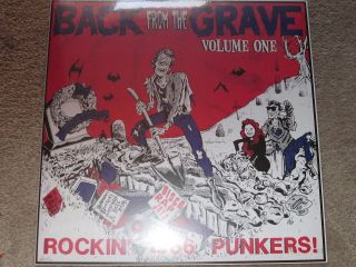 Back From The Grave Vol 1 - Rockin 1966 Punkers