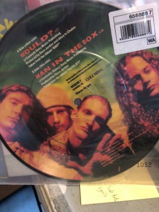 Alice in Chains Would? Rare 7” Limited Edition Picture Disc 3