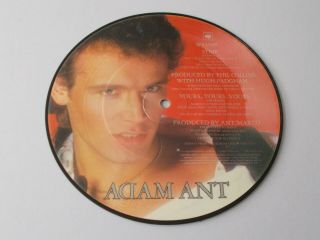 ADAM ANT - Strip UK 1983 CBS 7 