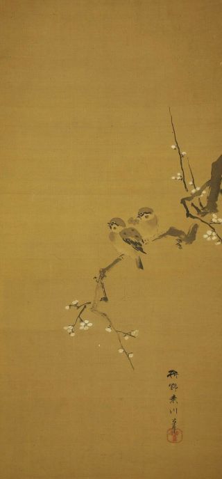 掛軸1967 Japanese Hanging Scroll : Kano Sosen " Ume And Two Sparrows " @b841