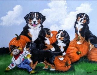 Bernese Mountain Dog/autumn/pumpkin Acrylic 9x12,  B Ann,  Ooak