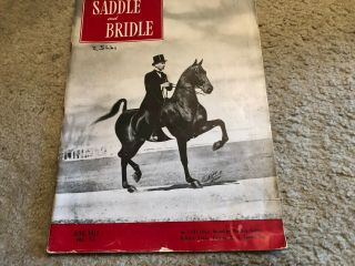 Saddlebred Vintage Saddle & Bridle Jun 1947 Rare Old Treasure - Milligan Question