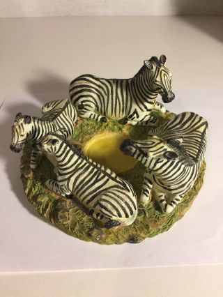 Zebra Family Of Four Mom,  Dad And 2 Kids In A Circle Surrounding Candle Holder