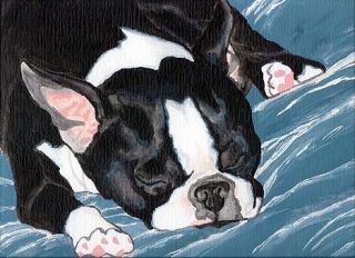 Boston Terrier Sleeping Dog 8x10 Signed Art Print Of Painting By Vern