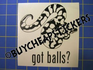 Ball Python Snake Decal Got Balls? Vinyl Decal - Sticker 12x12 - Any Color