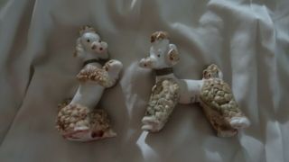 Vintage Inarco E - 2195 Poodles - White With Beige Or Gold Accents