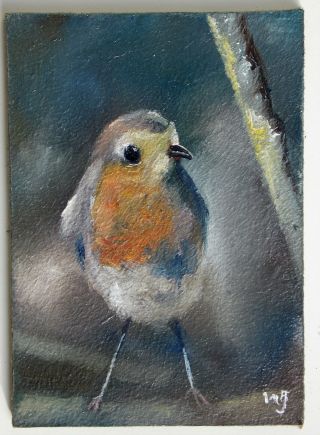 Aceo - William Jamison Miniature Oil Painting Juvenile Robin Bird