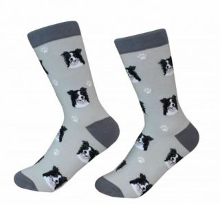 Border Collie Socks Unisex Dog Cotton/poly One Size Fits Most