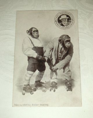 Early 20th Century Postcard Max & Moritz Chimps Carl Hagenbeck Zoo & Circus