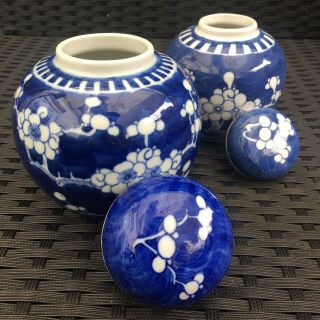 A Antique Chinese Blue & White Prunus Jars & Lids Qing Dynasty Kangxi