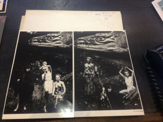 The Slits - Animal Space Rare 12 " Test Pressing On Rough Trade,  2 X Photos
