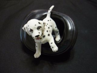 Reduced:playful Pups W/certif,  Princeton Gallery - Dalmatian,  Where 