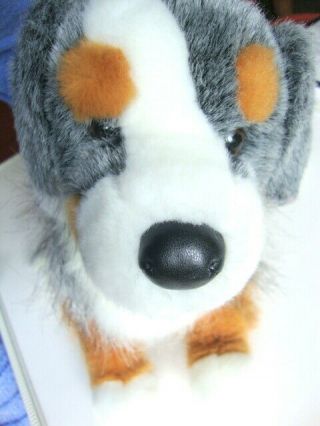 Douglas Cuddle Toy 15 " L Australian Shepherd Puppy Pl.  Ush Dog