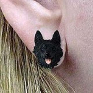 Schipperke Tiny One Dog Head Post Earrings Jewelry