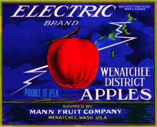Wenatchee Washington State Electric Apples Apple Fruit Crate Label Art Print