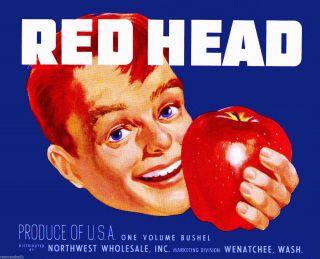 Wenatchee Washington State Red Head 5 Apples Apple Fruit Crate Label Art Print