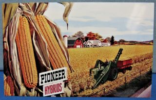 Pioneer Seed Corn Advertising Post Cards 1958 Set Of 3 Different