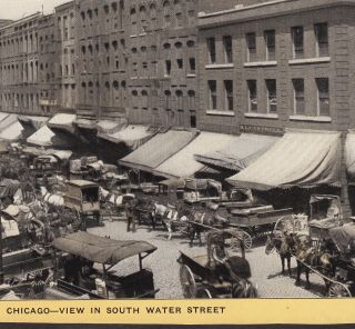Chicago South Water Street Ca.  1905 Singer Sewing Photo Souvenir Advertising Card