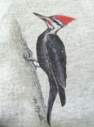 Pileated Woodpecker Graphic T - Shirt Gray Bird Lovers Watcher Artist Signed