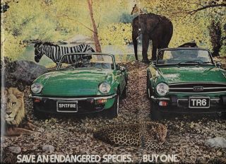 Vintage Triumph Spitfire & Tr6 Convertible Green Auto Endangered Species