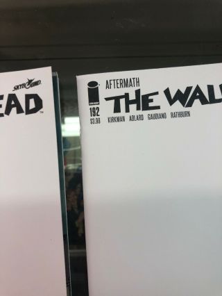 THE WALKING DEAD 192 BLANK COVER variant DEATH of RICK GRIMES LOF OF 2 4