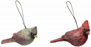 Blossom Bucket Set Of 2 Cardinals With Hangers
