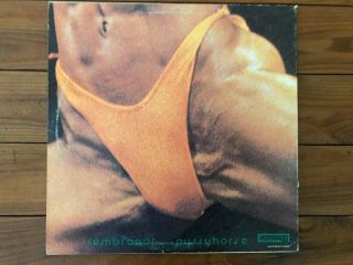 Butthole Surfers ‎– Rembrandt Pussyhorse 1986 Touch And Go ‎T&GLP 8 Vinyl NM 3