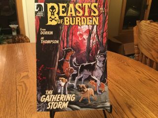 Beasts Of Burden The Gathering Storm Dorkin & Thompson 2009