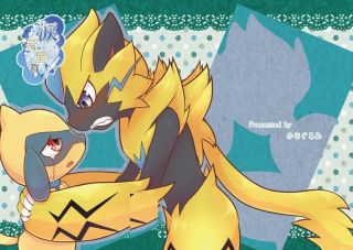 Pokemon Doujinshi Zeraora X Riolu (a5 28pages) Kajigurumi Kemono Furry Namida