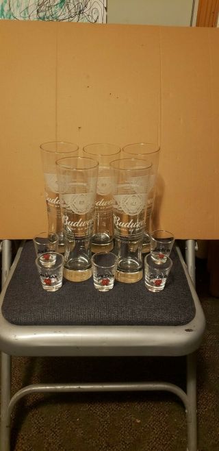 Budweiser Bud Tall Glasses Set Of 5 With 5 Bonus Beam Shot Glasses