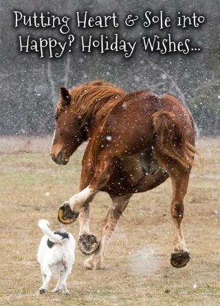 Putting Heart & Sole Into Happy? Holiday Wishes.  Belgian Horse Christmas Cards